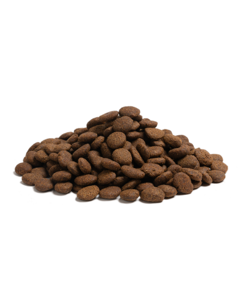 BEGINNING LARGE BREED SAMPLE