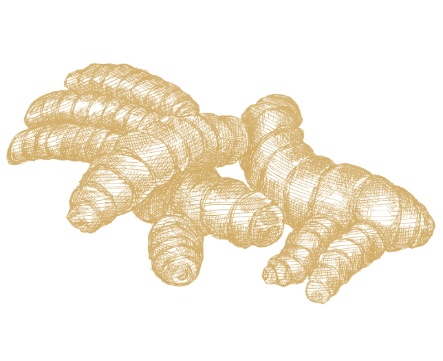 Gurkemeje