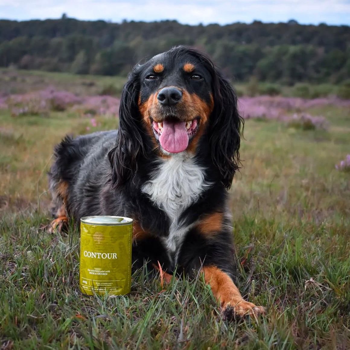 CONTOUR PÂTÉ, 400G