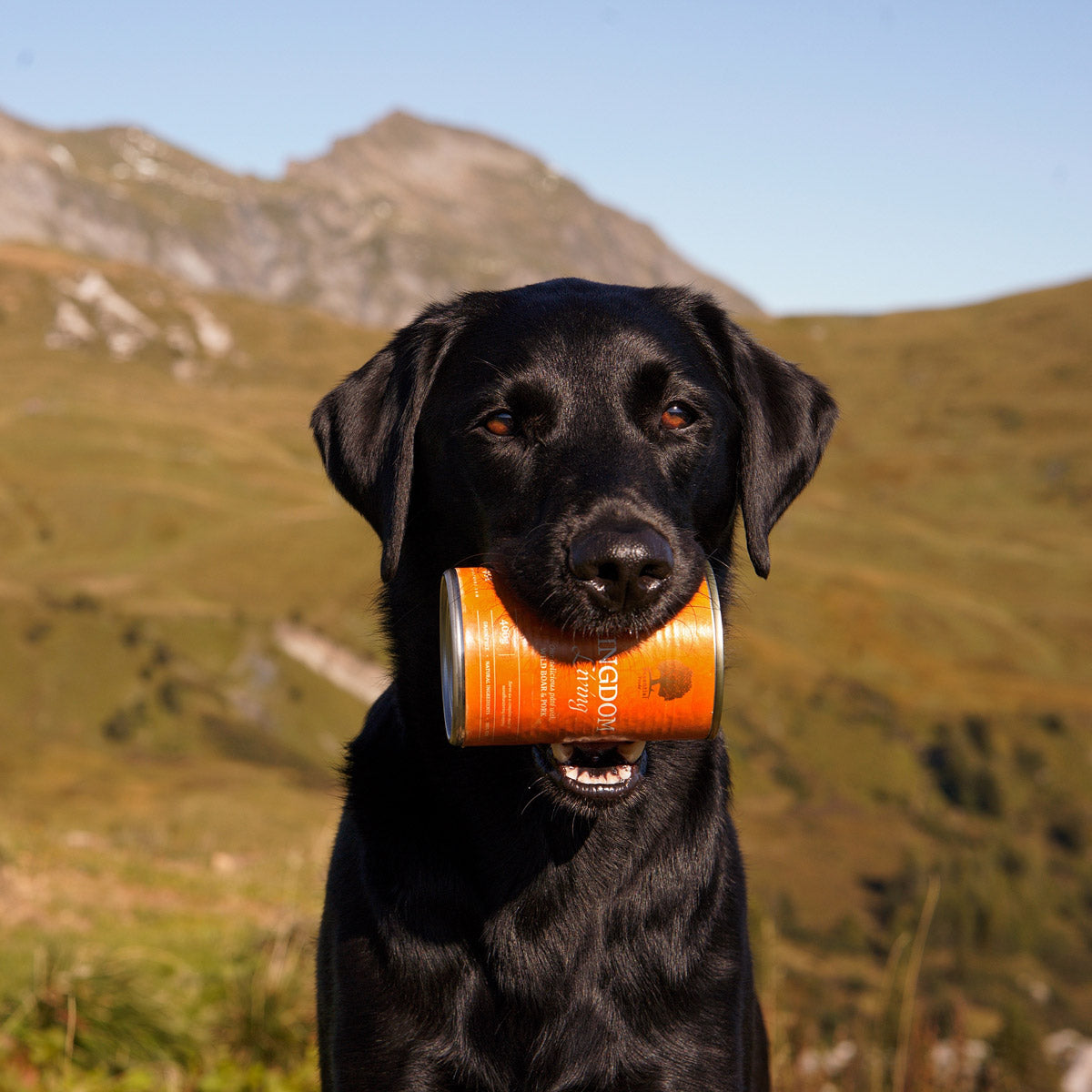 KINGDOM LIVING PÂTÉ, 400G