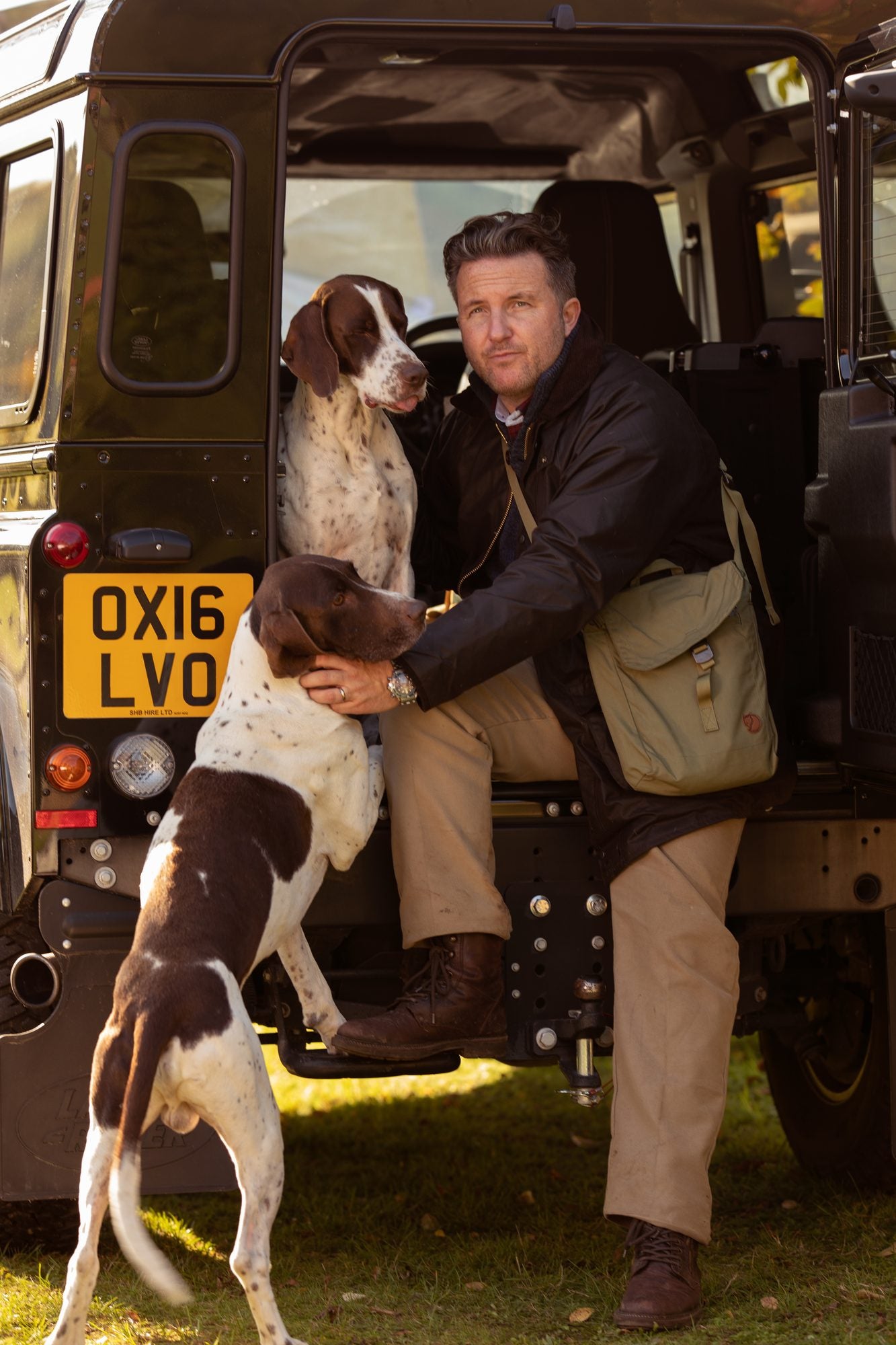 How many dogs are there in Denmark?