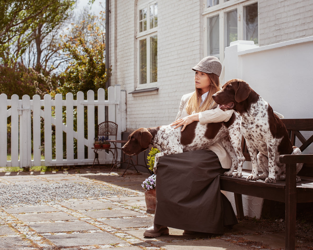 Best dog food for Labradors - Find the ideal meal now!