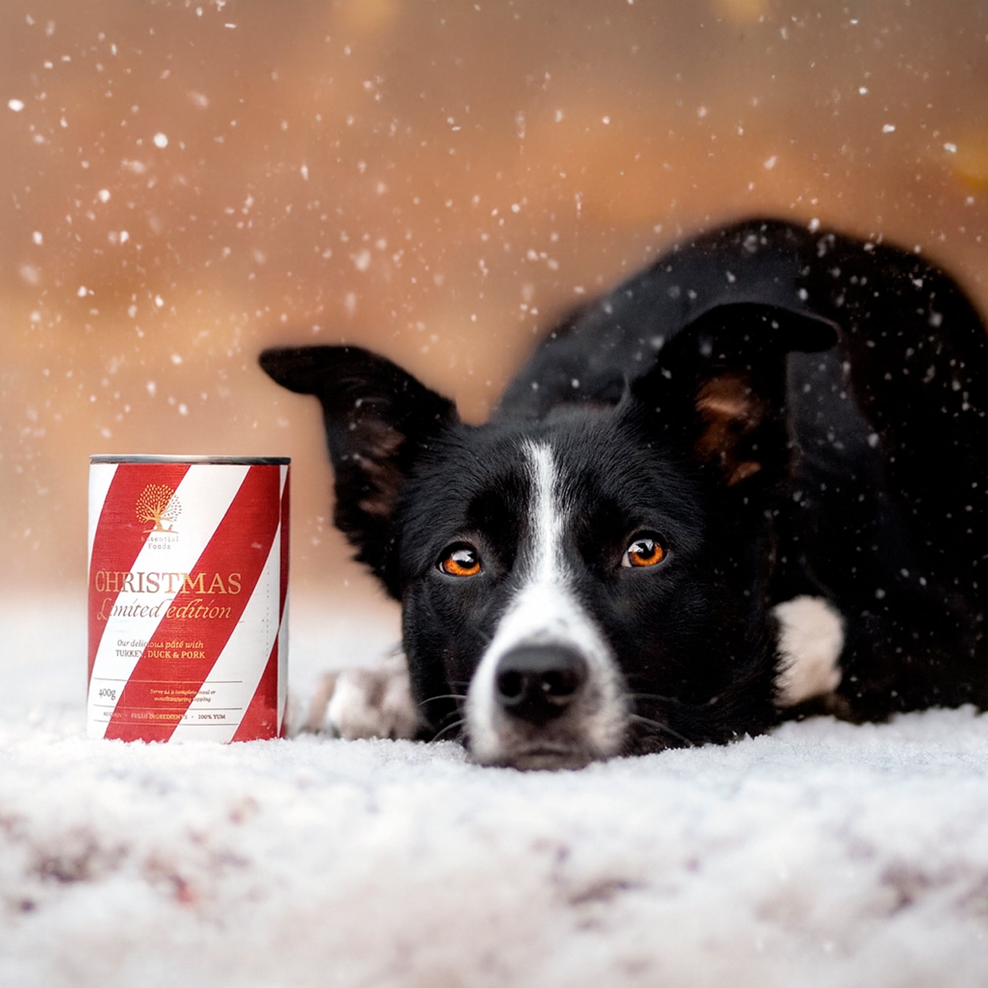 CHRISTMAS PÂTÉ LIMITED EDITION, 400G