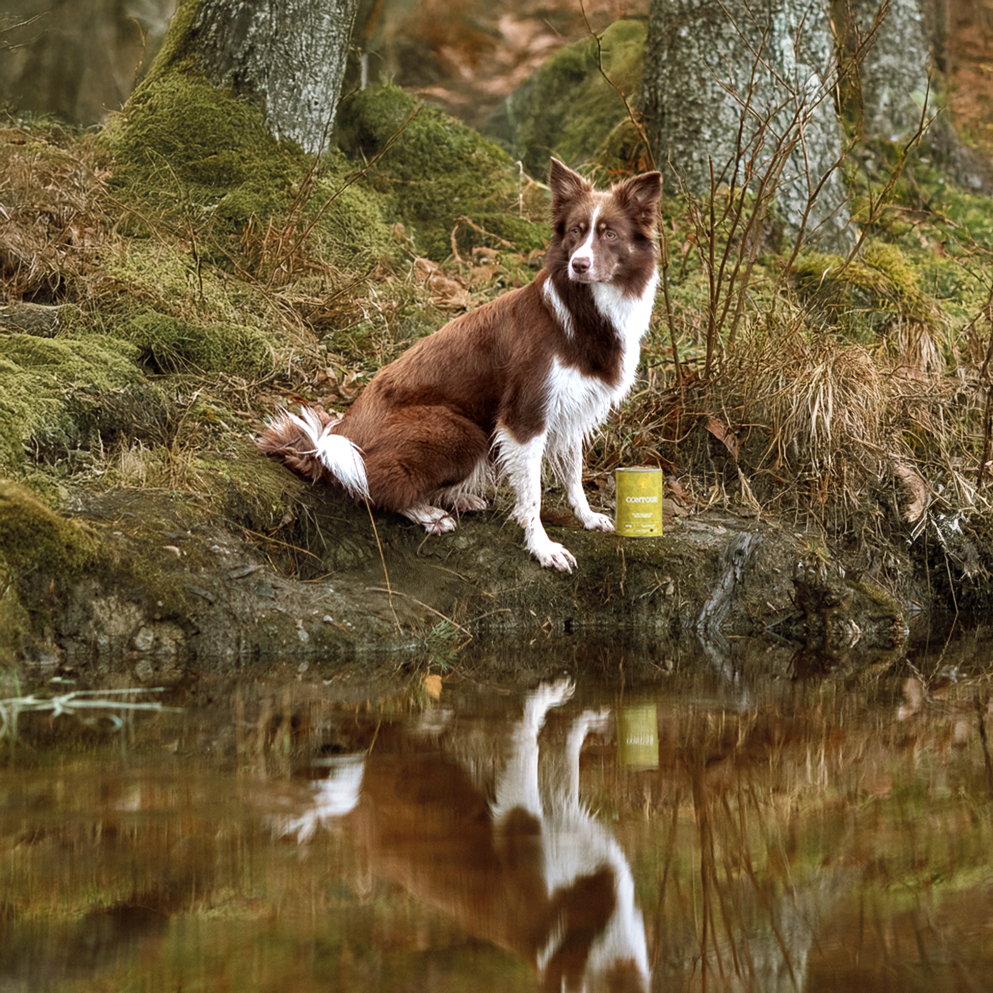 CONTOUR PÂTÉ, 400G