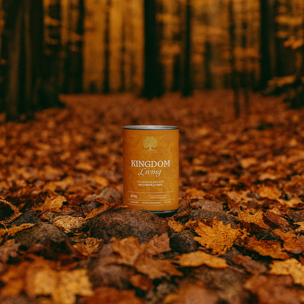 KINGDOM LIVING PÂTÉ, 400G