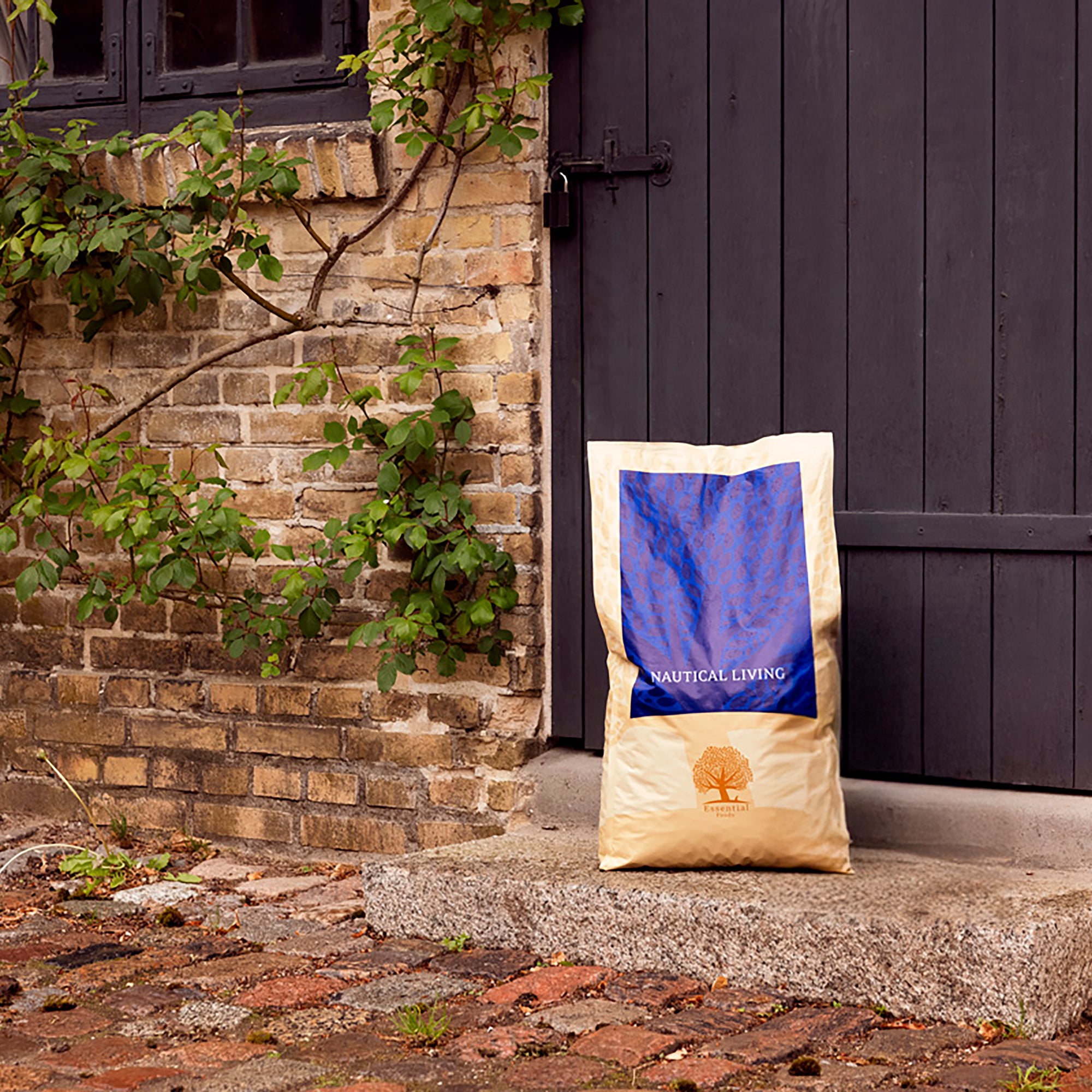 THE CLASSIC TASTE BOX, 10KG x 3
