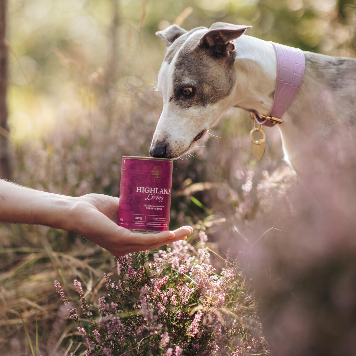 THE COUNTRYSIDE PÂTÉ TASTE BOX, 400G x 18